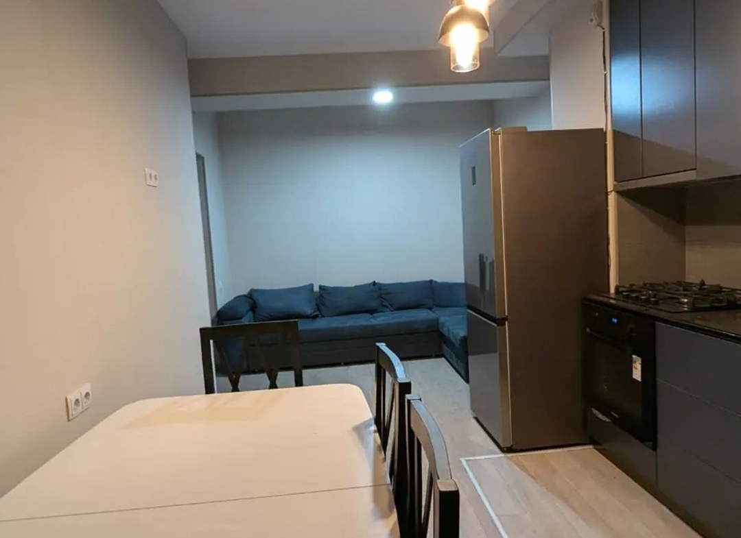 1 bedroom apartment for rent in Archi Saburtalo