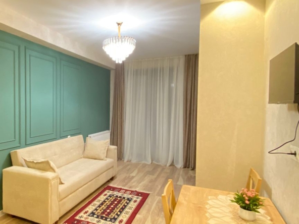 آپارتمان 1 اتاق خواب برای اجاره در دیدی دیگومی 8 1 bedroom apartment for rent in Didi Digomi