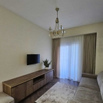 1 bedroom apartment for rent in Didube