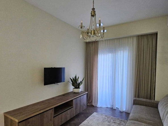 آپارتمان يک اتاق خواب براي اجاره در ديدوب 24 1 bedroom apartment for rent in Didube