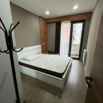 1 bedroom apartment for rent in Didube