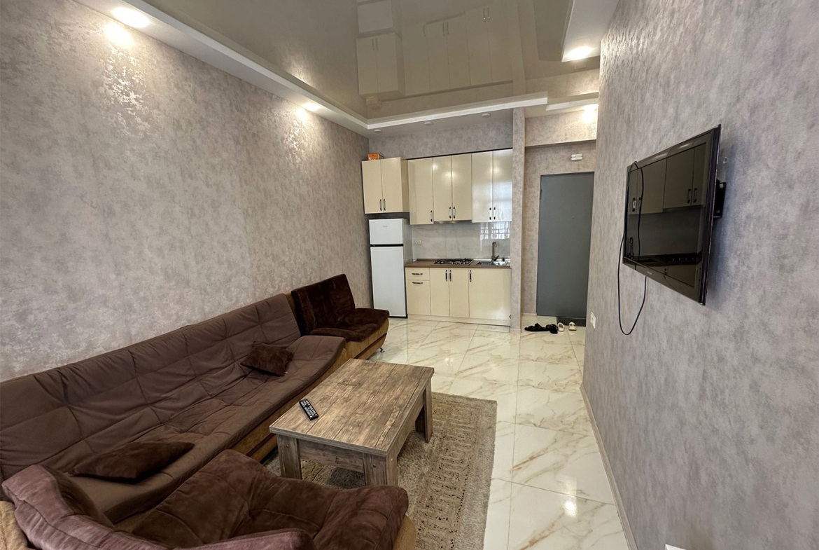 1 bedroom apartment for rent in Gldani