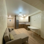 1 bedroom apartment for rent in Isani