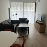 1 bedroom apartment for rent in Krtsanisi