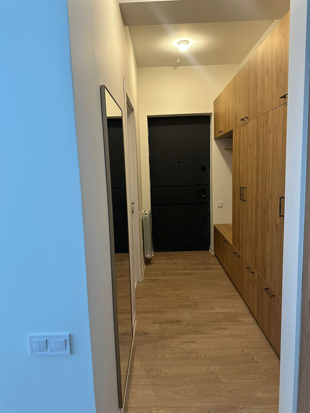 1 bedroom apartment for rent in Krtsanisi