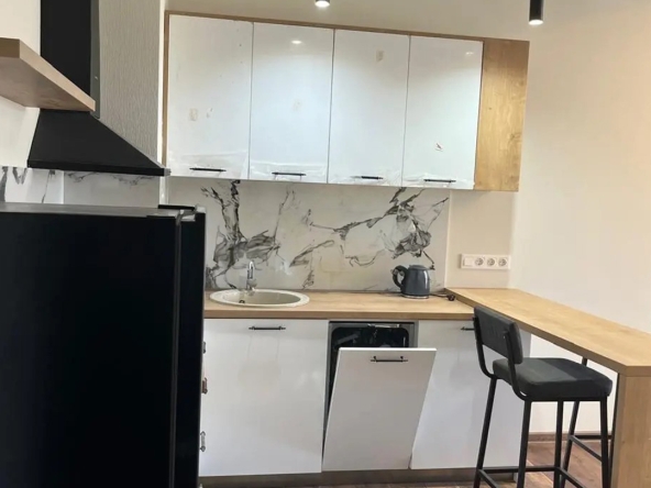 ქირავდება 1 საძინებლიანი ბინა ორთაჭალაში 10 1 bedroom apartment for rent in Ortachala