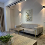 1 bedroom apartment for rent in Saburtalo