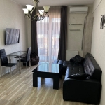 1 bedroom apartment for rent in Saburtalo