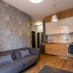 1 bedroom apartment for rent in Saburtalo