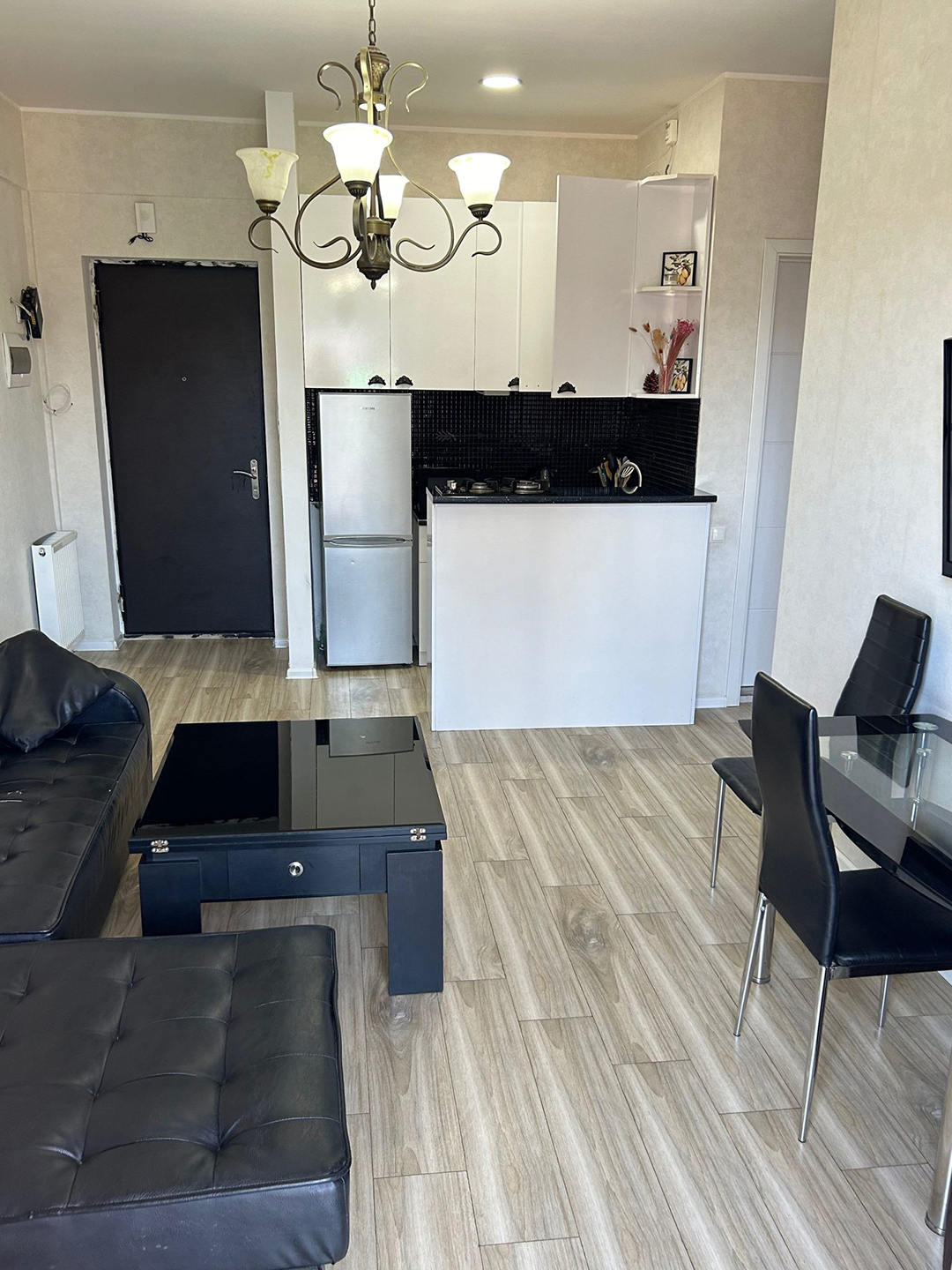 1 bedroom apartment for rent in Saburtalo