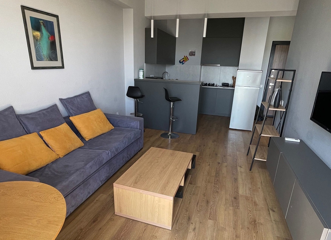 1 bedroom apartment for rent in Vake