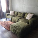 1 bedroom apartment for rent in Vake