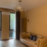 1 bedroom apartment for rent in Vake