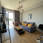 1 bedroom apartment for rent in Vake