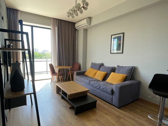 آپارتمان يک اتاق خواب براي اجاره در وايک 20 1 bedroom apartment for rent in Vake