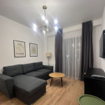 1 bedroom apartment for rent on Saburtalo 3 1