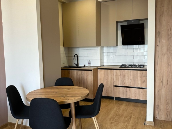 آپارتمان يک اتاق خواب براي اجاره در سابورتالو 24 1 bedroom apartment for rent on Saburtalo 3