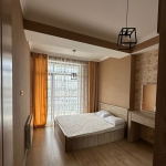 1 bedroom apartment for rent on Saburtalo