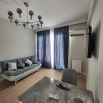 1 bedroom apartment for rent on Saburtalo