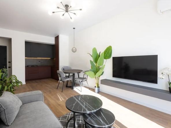آپارتمان يک اتاق خواب براي اجاره در سابورتالو 24 1 bedroom apartment for rent on Saburtalo