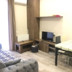 1 bedroom apartment in Saburtalo for rent