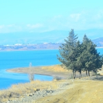 1000 sq.m agricultural land for sale in Varketilis Meurneoba