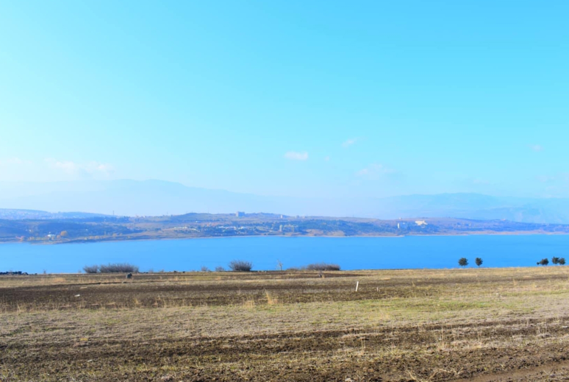 1000 sq.m agricultural land for sale in Varketilis Meurneoba