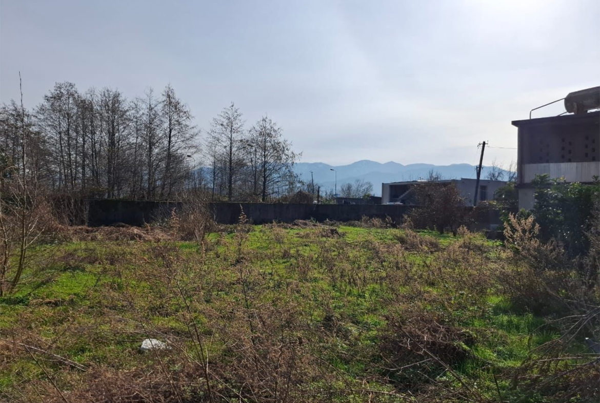 1036 sq.m non-agricultural land for sale in Batumi