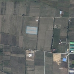 11000 sq.m agricultural land for sale in Tserovani