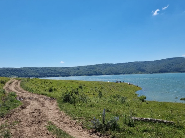 11969 sq.m agricultural land for sale in Sioni 20 11969 sq.m agricultural land for sale in Sioni