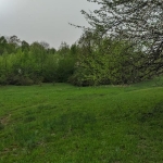 1237 agricultural land for sale in Ambrolauri