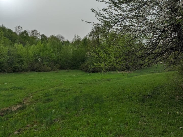 1237 agricultural land for sale in Ambrolauri 22 1237 agricultural land for sale in Ambrolauri