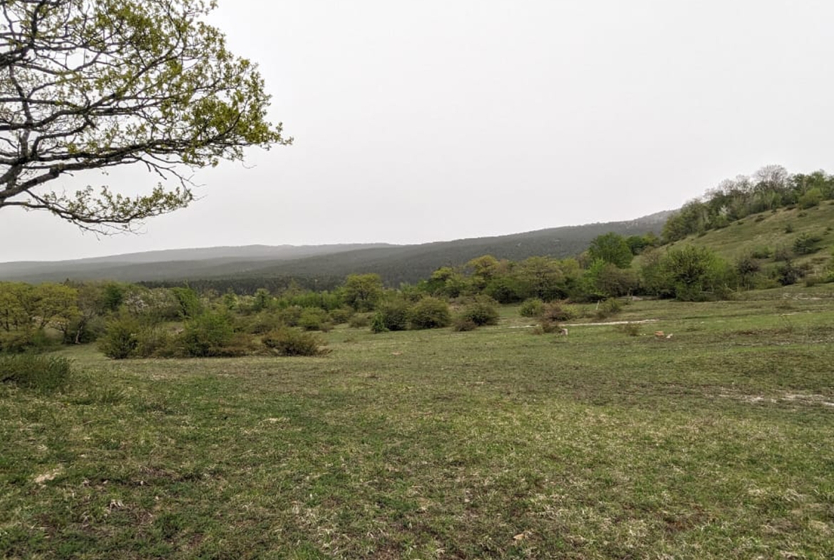 1237 agricultural land for sale in Ambrolauri