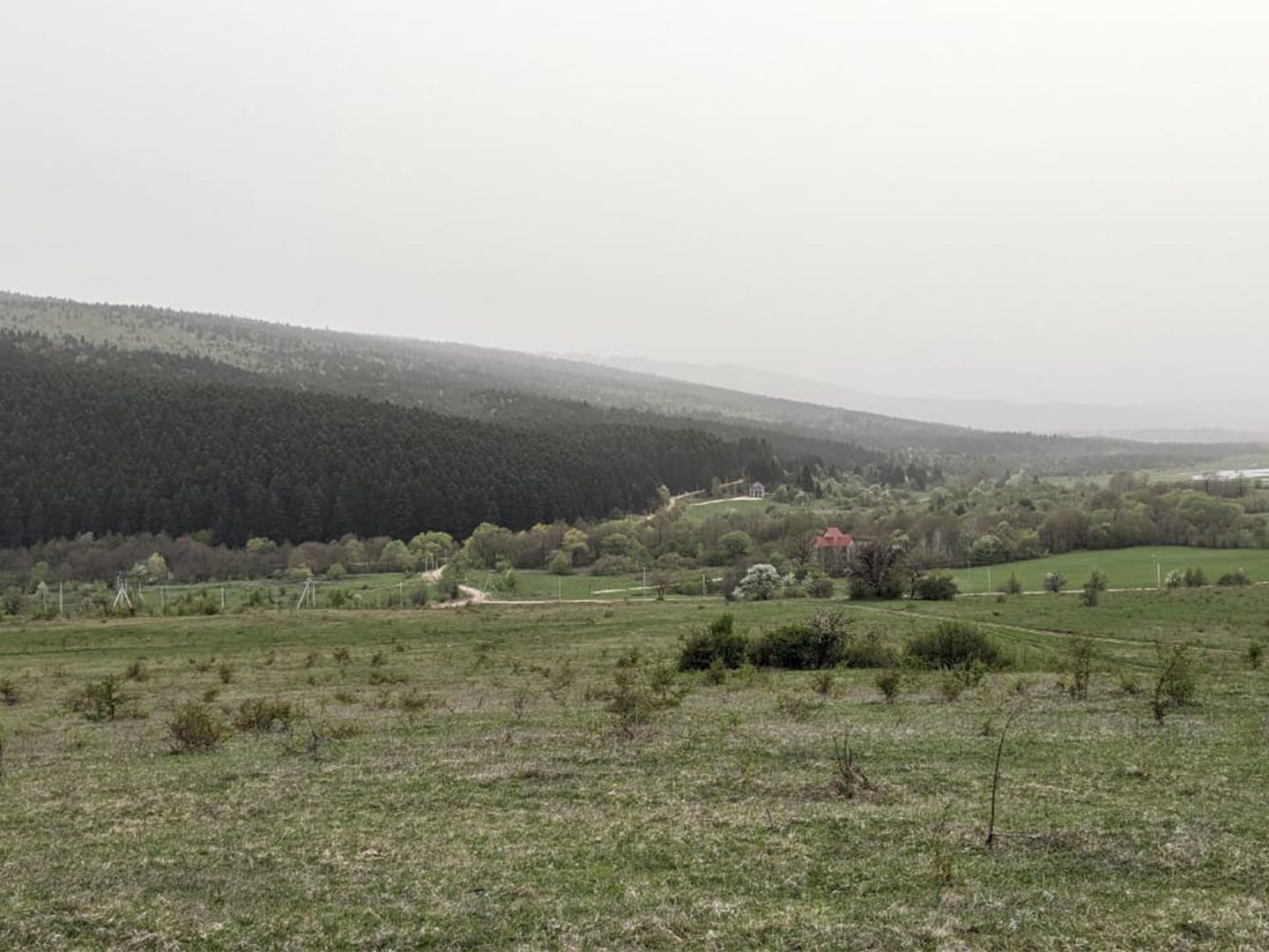 1237 agricultural land for sale in Ambrolauri