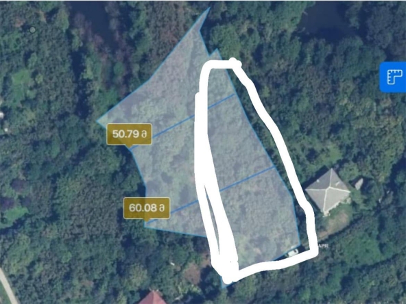 1800 sq.m agricultural land for sale in Kobuleti 12 1800 sq.m agricultural land for sale in Kobuleti