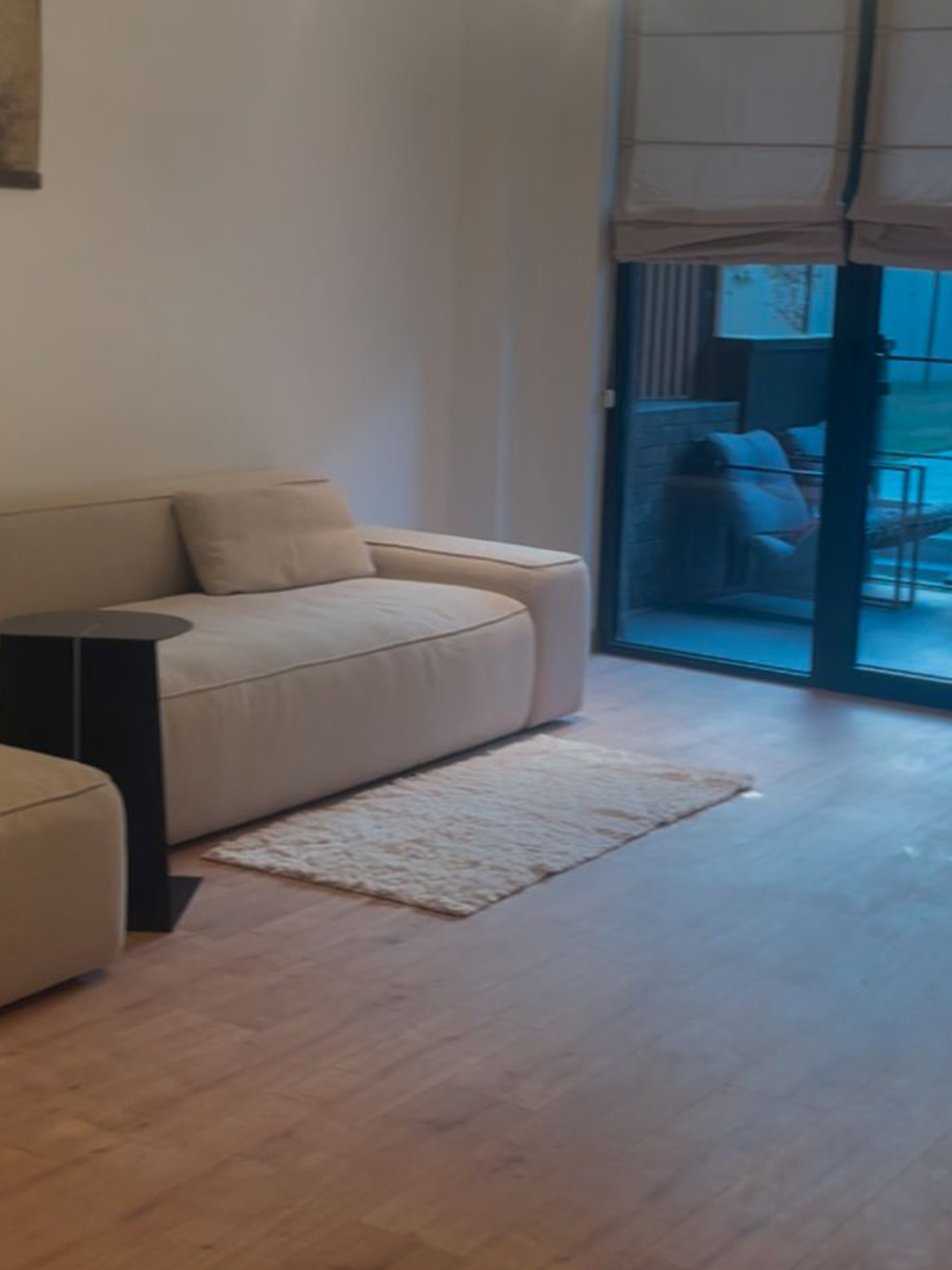 2 bedroom apartment for rent in Krtsanisi