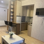 2 bedroom apartment for rent in Samgori