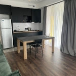 2 bedroom apartment for rent on Saburtalo