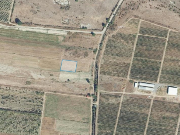 2000 sq.m agricultural land for sale in Mtskheta 18 2000 sq.m agricultural land for sale in Mtskheta