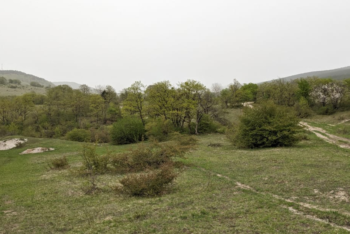 4574 sq.m agricultural land for sale in Ambrolauri