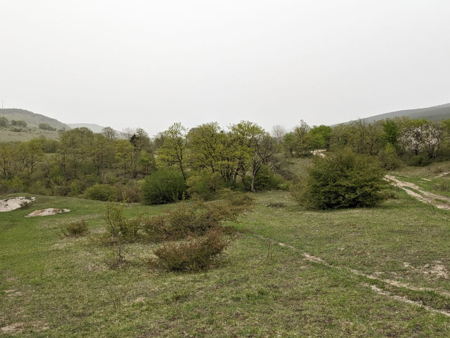 4574 sq.m agricultural land for sale in Ambrolauri