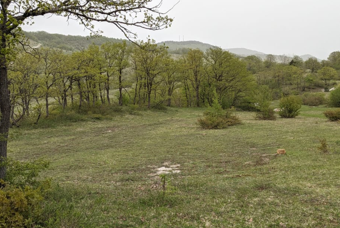 4574 sq.m agricultural land for sale in Ambrolauri