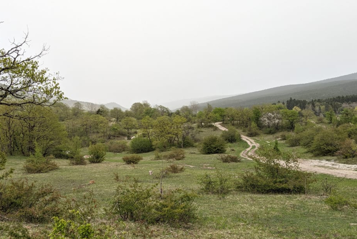 4574 sq.m agricultural land for sale in Ambrolauri