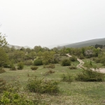 4574 sq.m agricultural land for sale in Ambrolauri