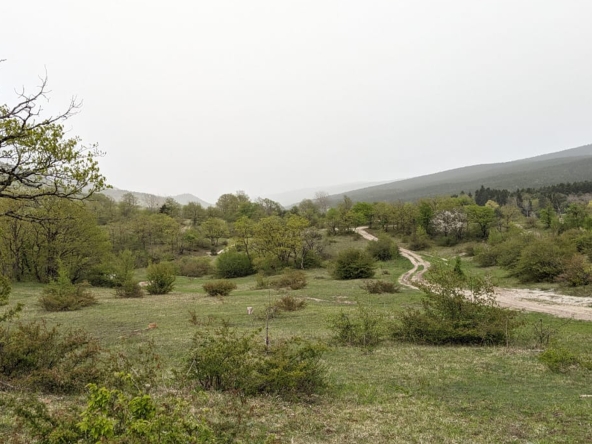 იყიდება 4574 მ2 სასოფლო მიწა ამბროლაურში 14 4574 sq.m agricultural land for sale in Ambrolauri