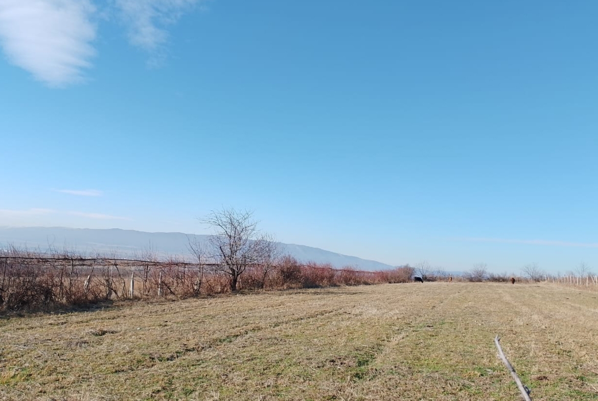 5350 sq.m agricultural land for sale in Mtsketa, Vaziani