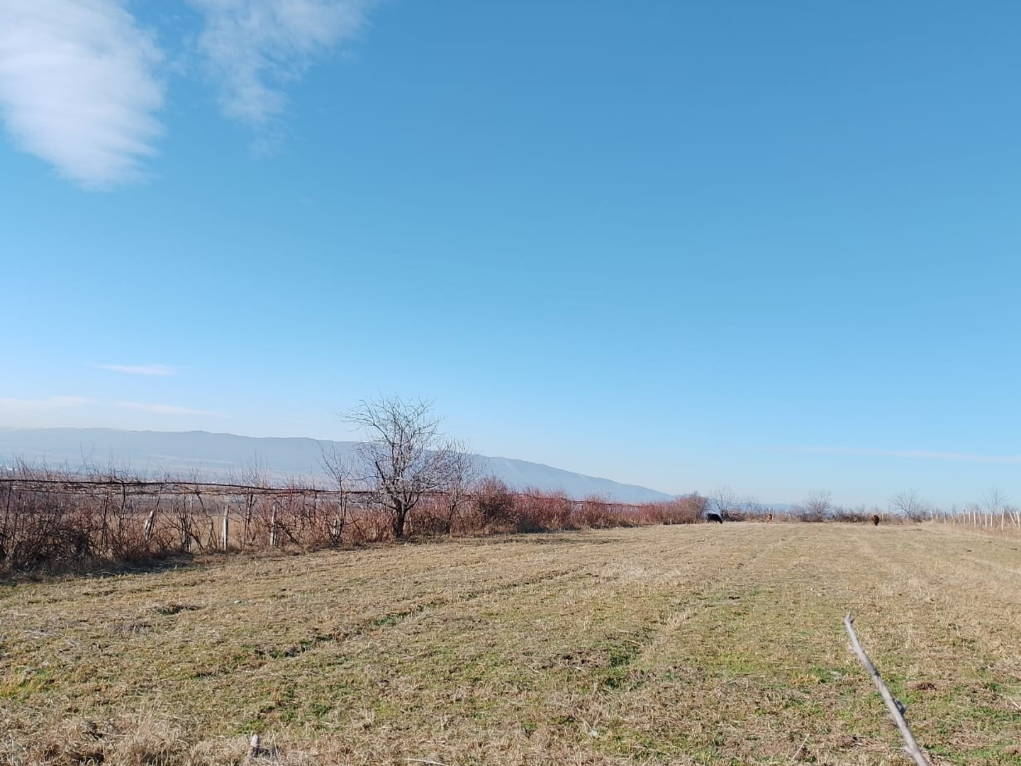 5350 sq.m agricultural land for sale in Mtsketa, Vaziani