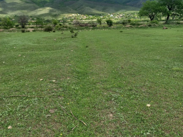 Продается сельскохозяйственная земля 8140 кв.м в Мисакциели 22 8140 sq.m agricultural land for sale in Misaktsieli