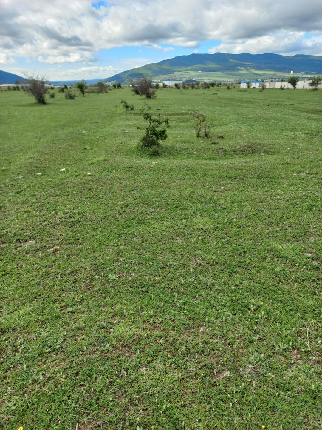 8140 sq.m agricultural land for sale in Misaktsieli