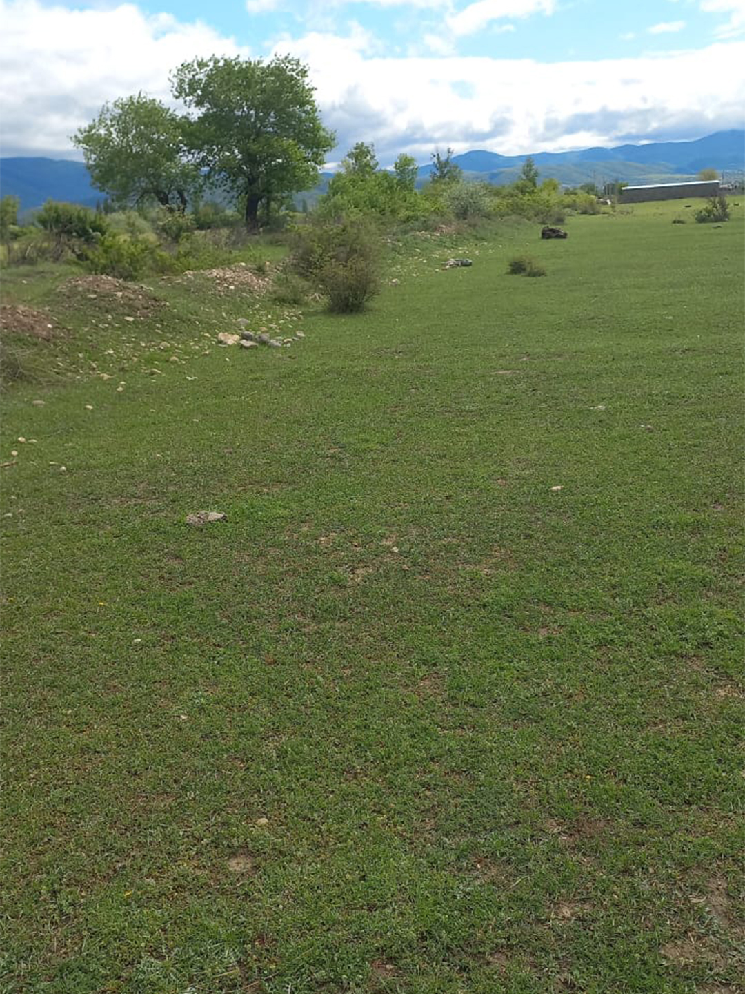 8140 sq.m agricultural land for sale in Misaktsieli